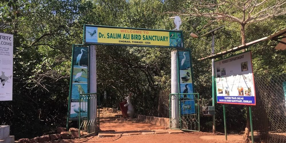 Salim Ali Bird SanctuarySalim Ali Bird Sanctuary, established in 1989 near Anaikatti, Coimbatore, is a haven for bird lovers and nature enthusiasts...